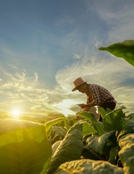 Soluciones estratégicas para el área agropecuaria en Ecuador