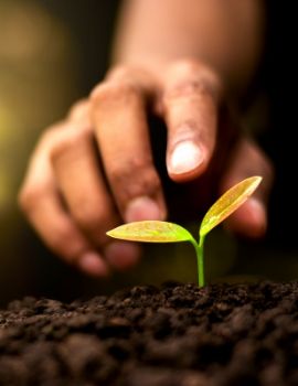 Soluciones estratégicas para el área ambiental en Ecuador